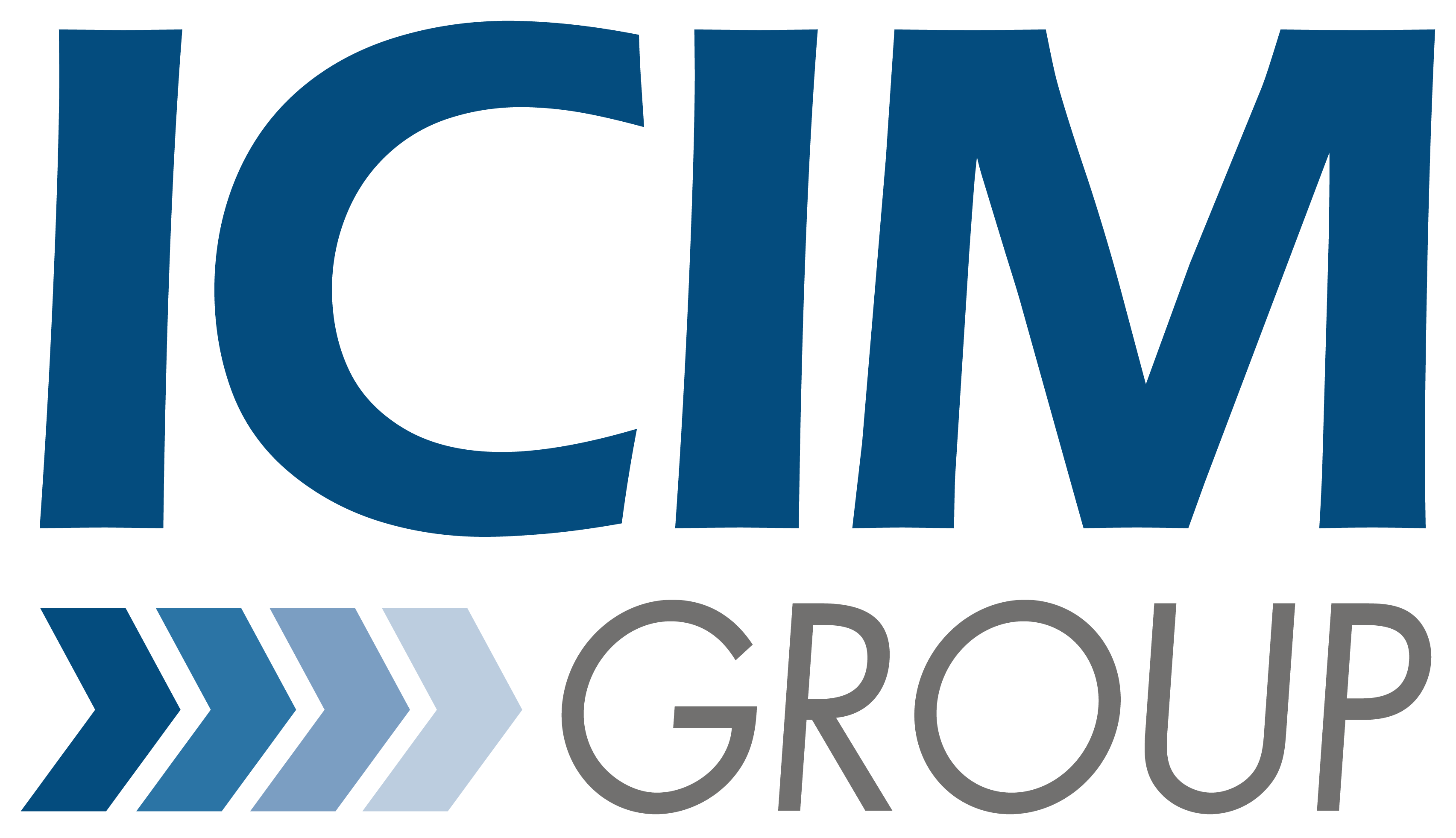 ICIM Group srl logo